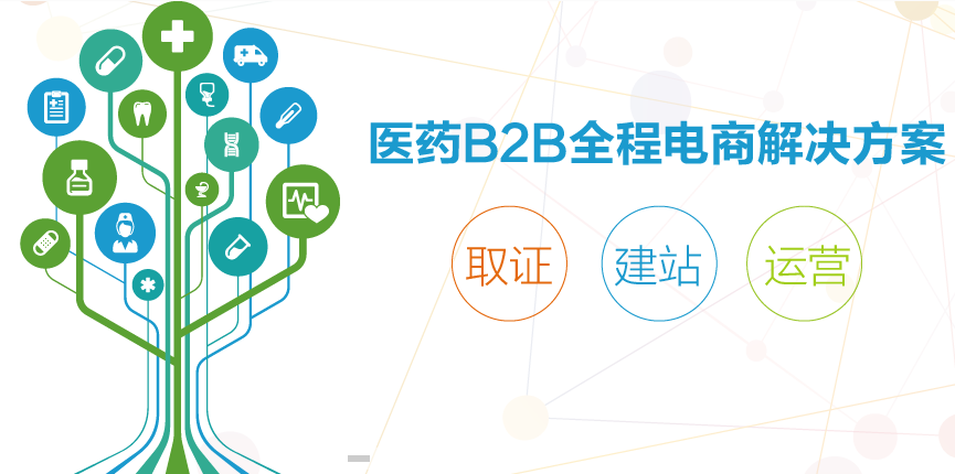 醫(yī)藥醫(yī)療網(wǎng)站建設(shè)策劃方案運(yùn)行書